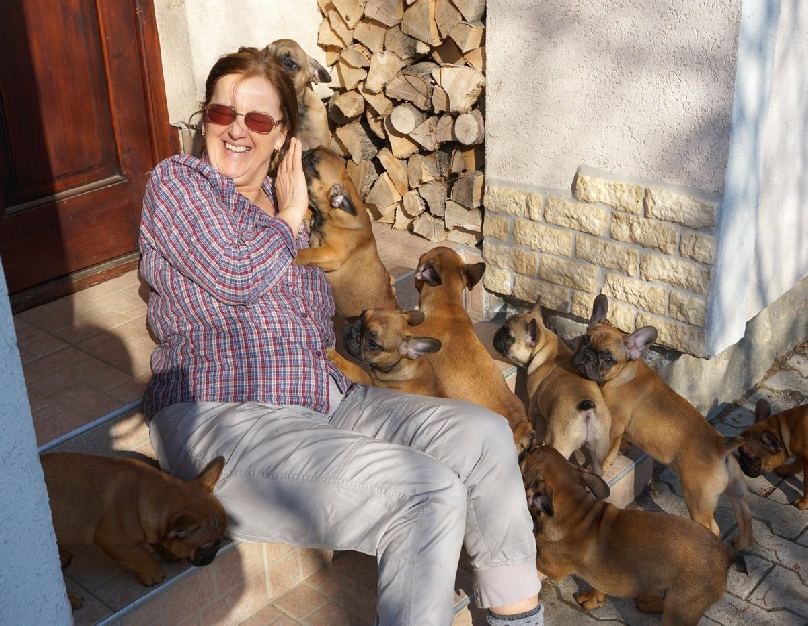Pete Tong Kennel bulldog love